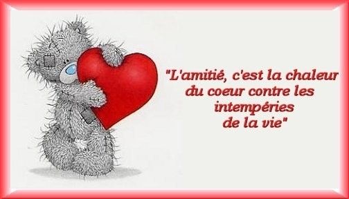 Citation Amis Et Ourson