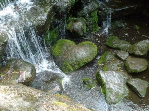 cascade 