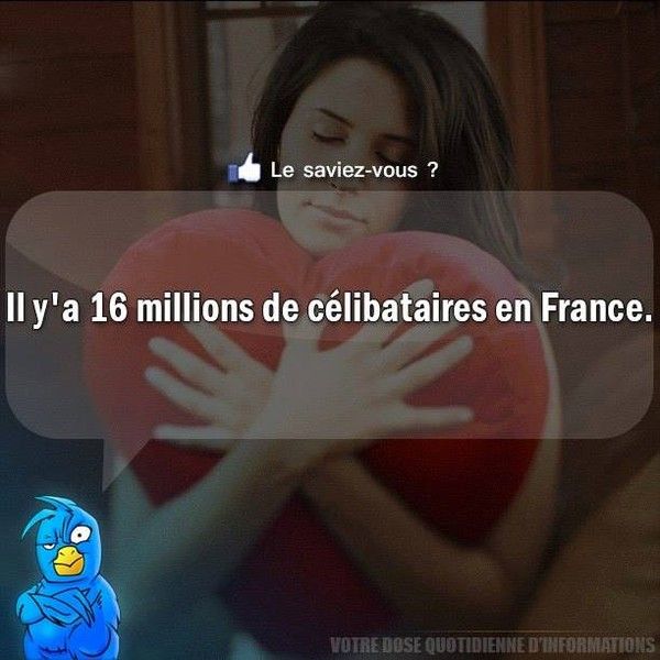 combien de célibataire en France